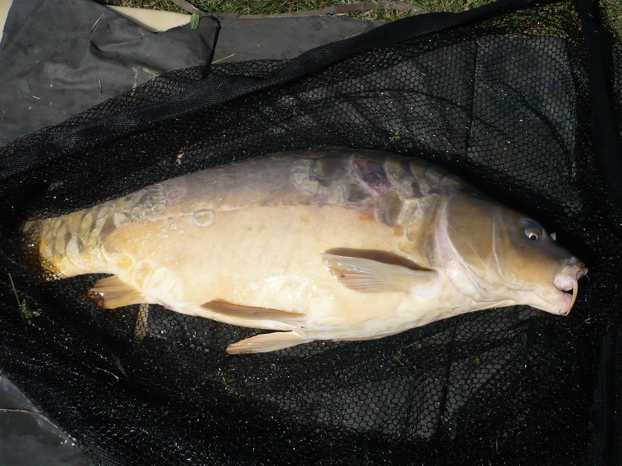 MV 2 - 19 SEPT 2014 - p1020843.JPG